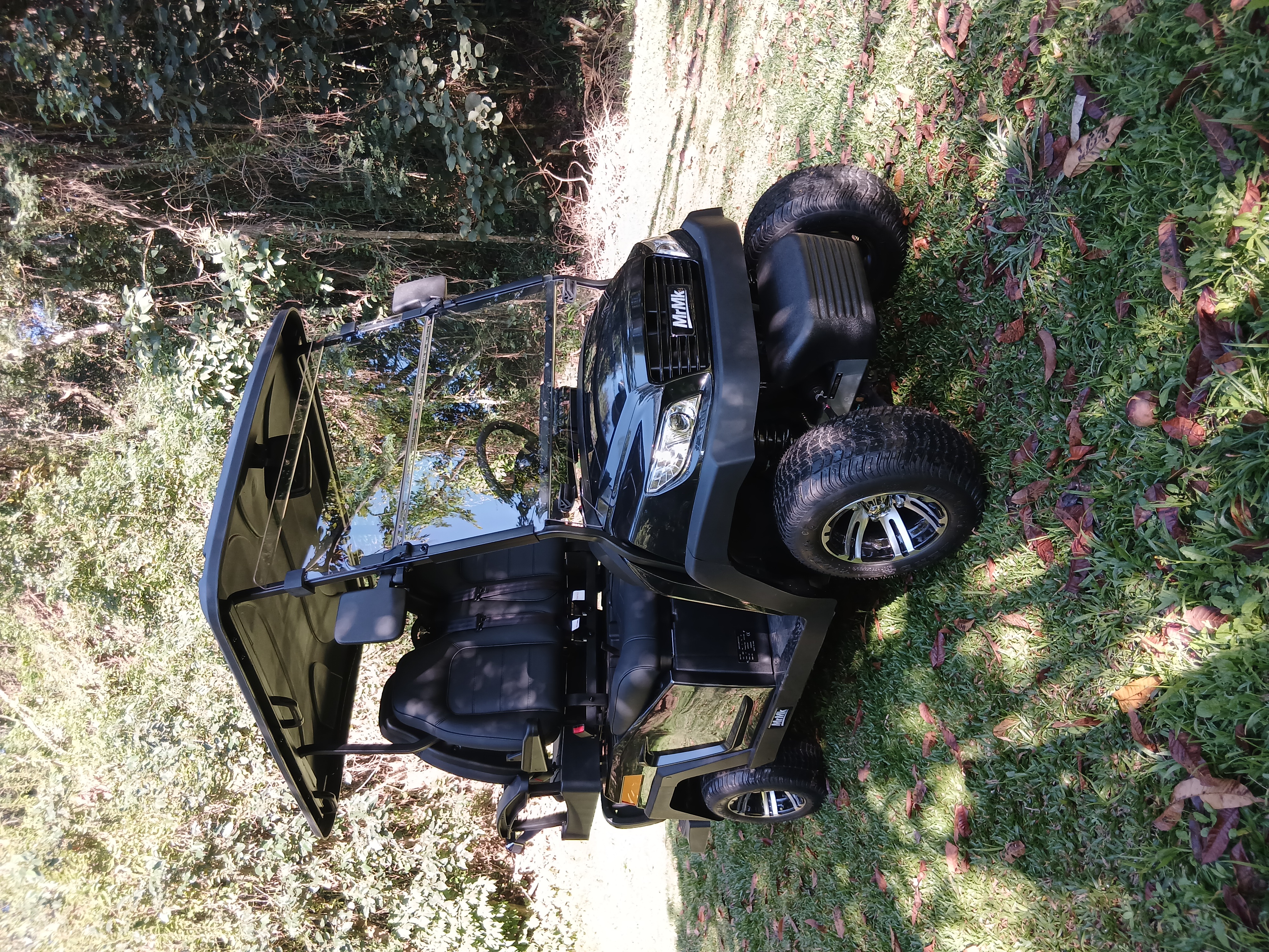 Carrinho de Golf 2 Lugares Verde