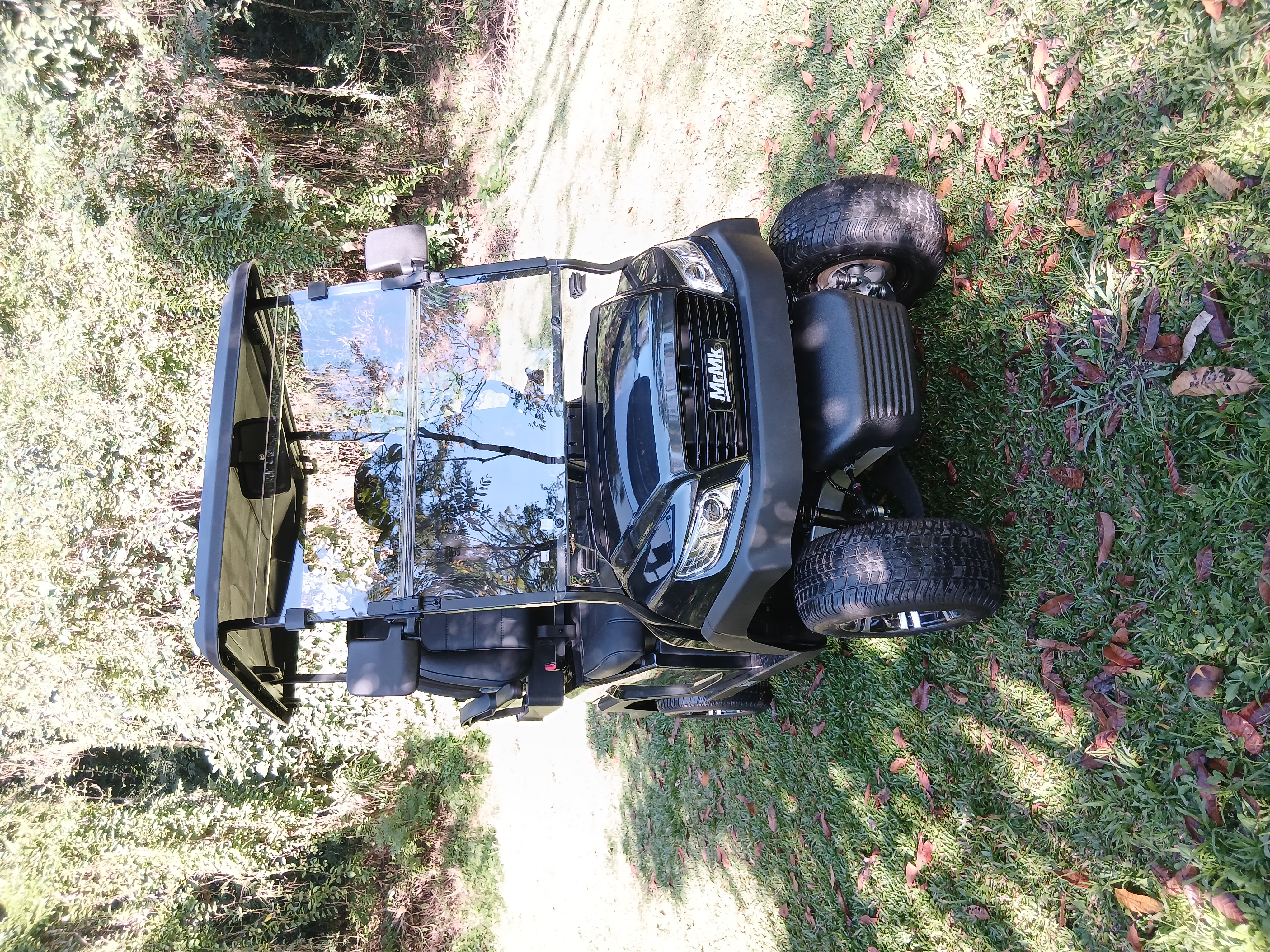 Carrinho de Golf 4 Lugares Verde