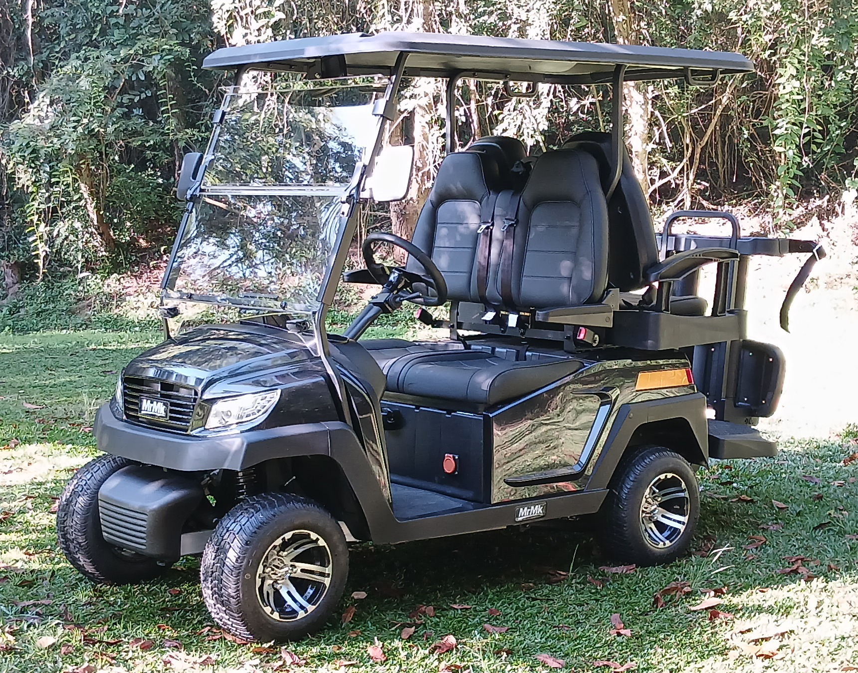 Carrinho de Golf 6 Lugares Lítio